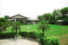 plots near amrita hospital